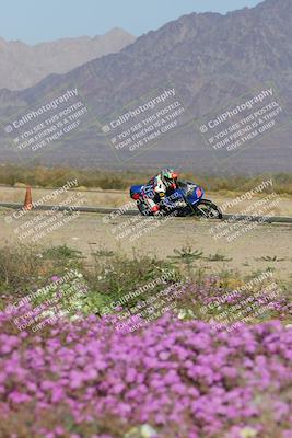 media/Feb-04-2023-SoCal Trackdays (Sat) [[8a776bf2c3]]/Turn 15 Inside Blooming (1050am)/